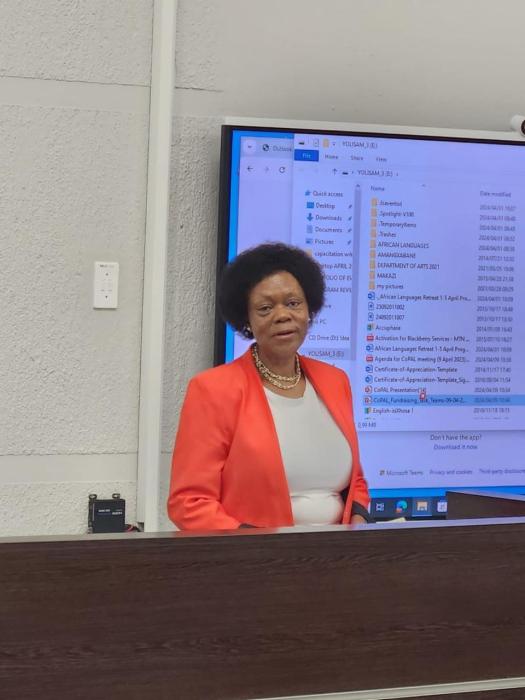 Prof Makhubu-Badenhorst presenting on DHET NLPFPHEIs UCDP to implement institutional policies